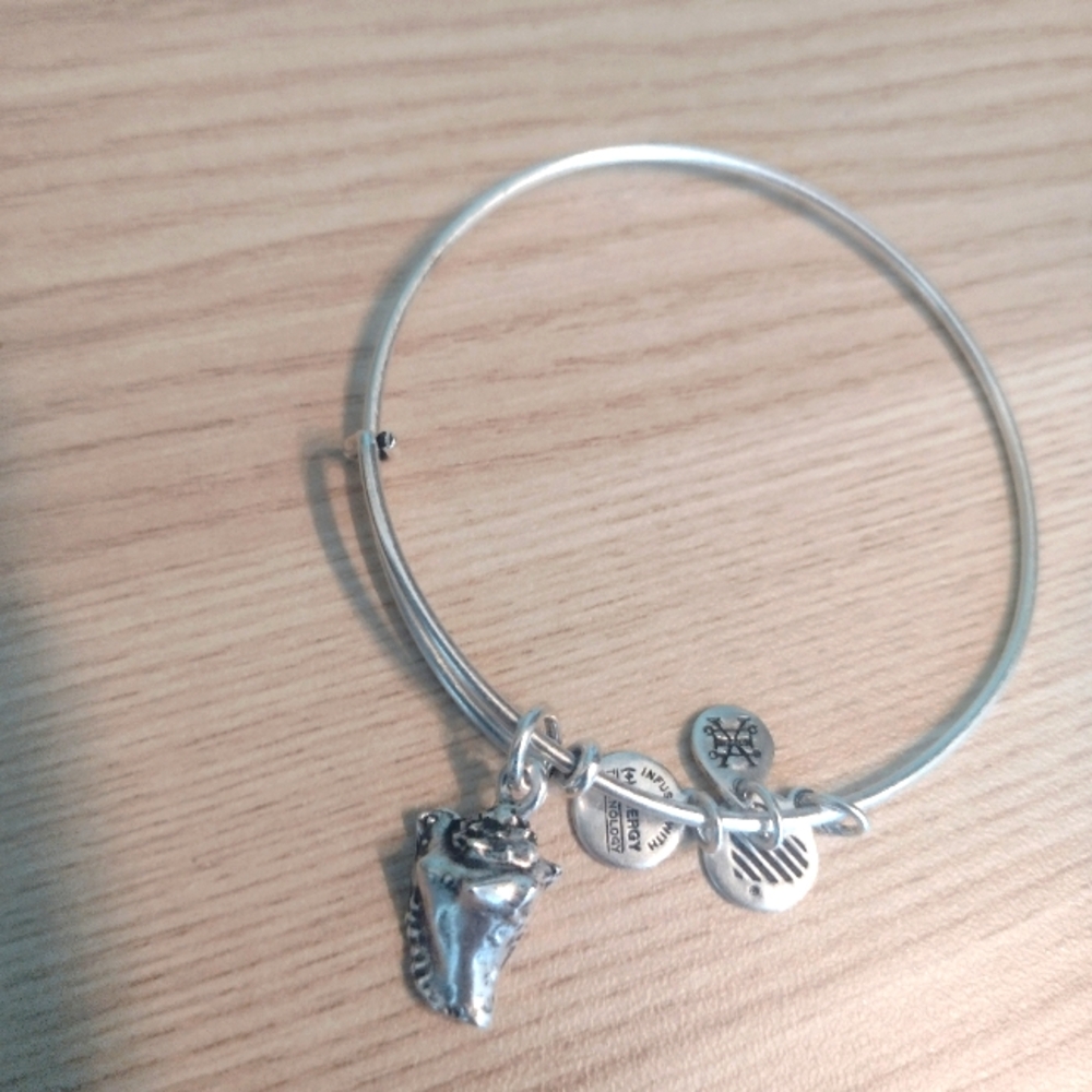 Alex and Ani Conch Shell Rafaelian Silver Charm Bangle - Picture 4 of 5